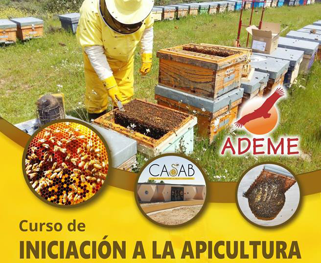 El Centro de Actividades sobre las Abejas y la Biodiversidad de Higuera de Albalat impartirá un curso de iniciación a la apicultura