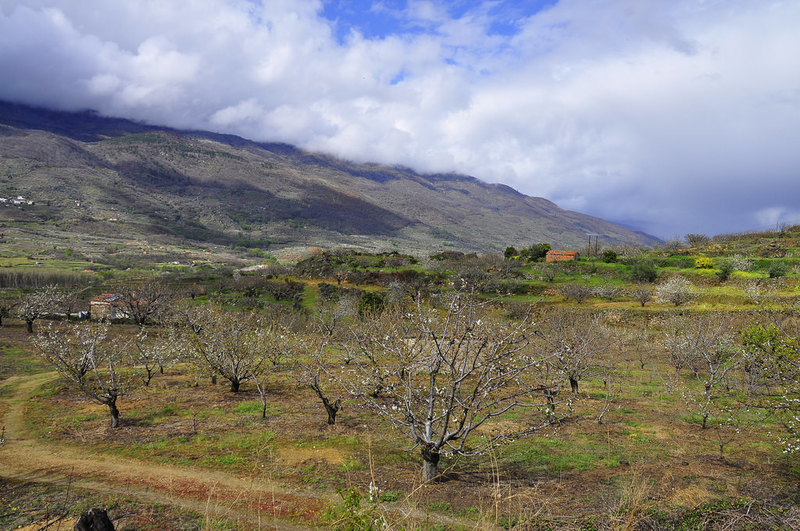 Tornavacas acogerá unas jornadas sobre la conservación del paisaje cultivado del Valle del Jerte