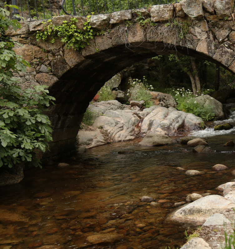 El ayuntamiento de Casas del Monte se pone serio frente a la sequía