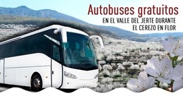 Tres rutas gratuitas en autobús recorrerán el Valle del Jerte durante el Cerezo en Flor