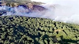 Medios aéreos trabajan en la extinción de un incendio forestal en Cabezuela del Valle 