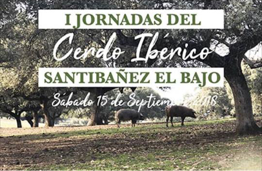 Santibáñez el Bajo celebrará el 15 de septiembre la 'I Jornada del Cerdo Ibérico'