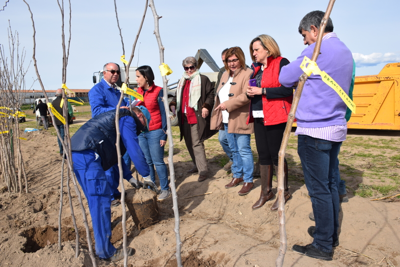 Campaña de plantas ornamentales del Vivero provincial en la Finca La Haza de la Concepción