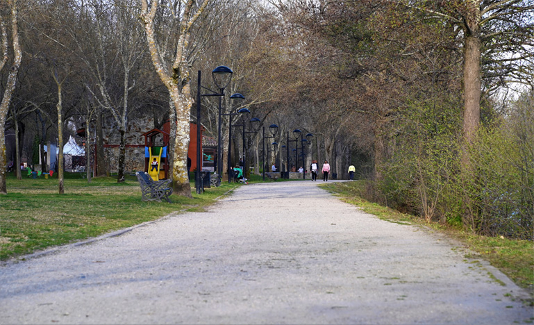 Plasencia busca adaptar su arbolado para combatir el cambio climático con más de 200 árboles nuevos en la ciudad