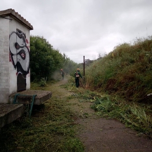 Plasencia refuerza su campaña de desbroce y prevención de incendios ante un crecimiento excepcional de la maleza