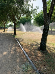 Activado el riego del Parque del Cachón y avanza en la mejora integral del Parque de Los Pinos