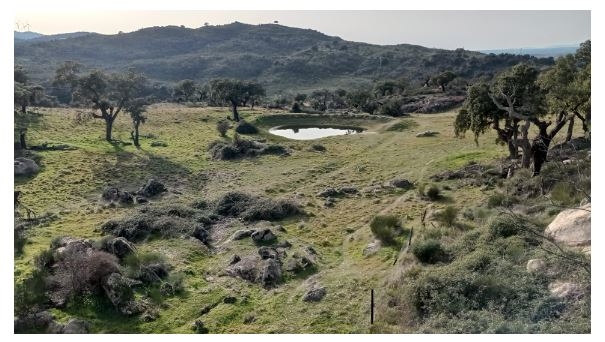 El Parque de la Isla acogerá una nueva edición de 